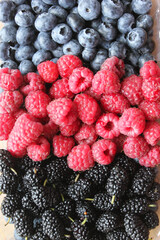 raspberries and blackberries