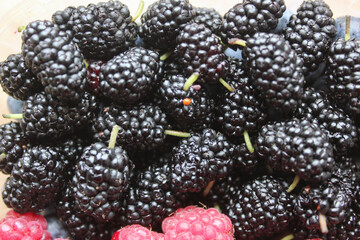 blackberries