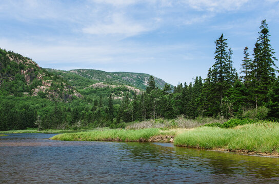 tidal pool at the base of a mountain and pines
