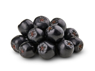 Aronia melanocarpa (black chokeberry) isolated on white background