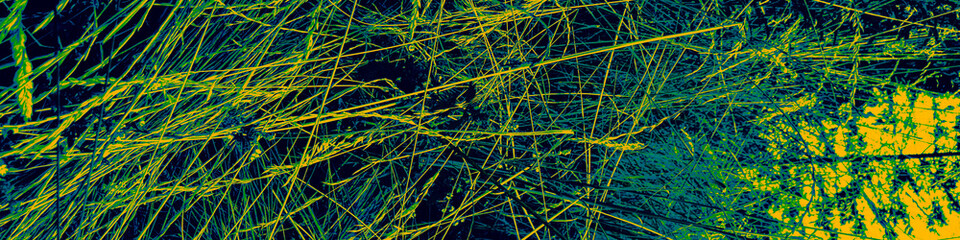 Yellow Flower Image. Black Floral Background.