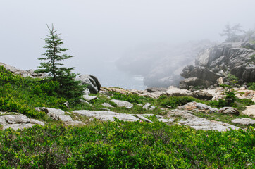 ocean in the fog from a rocky overlook