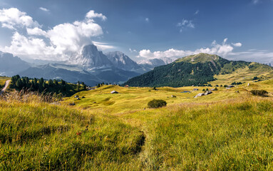 Wonderful view on countryside in alps with fresh grass on highmountain pasture. Stunning nature scenery in summer. amazing rural landscape with mountains and perfect sky. summer mountain scenery.