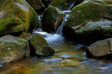 Magical mountain waterfall, crystal water, large stones overgrown with moss. The waterfall with the crystal clear water that flows quickly. Waterfall on the Kamyanka River, Skole Beskydy Nature Park.