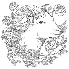 Ram design