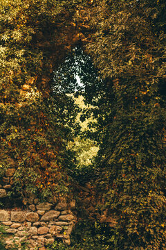 Wall of stones surrounded by leaves with a hole in the middle