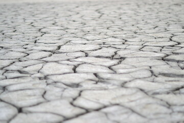 Cracked soil