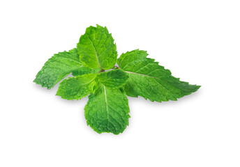 Clipping path. Mint leaves isolated on white background.