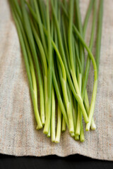 Raw Green Onions on cloth, low angle view. Close-up.