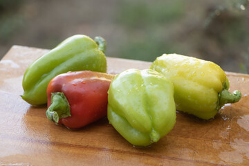 Peppers on wooden background, washed and ready for cooking