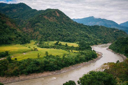 Paddy fields along the river bank during monsoon season.