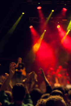Concert of live music festival