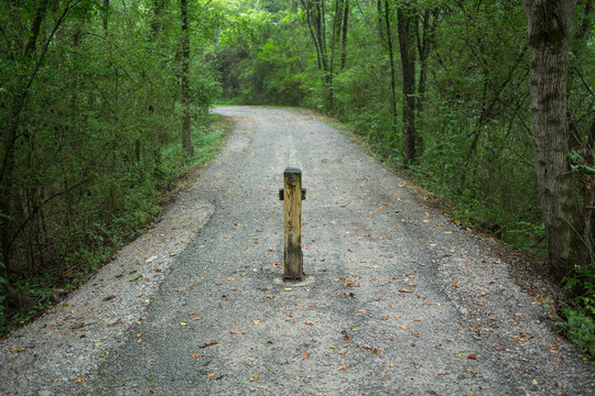 Wooden barrier blocking access on a forest road