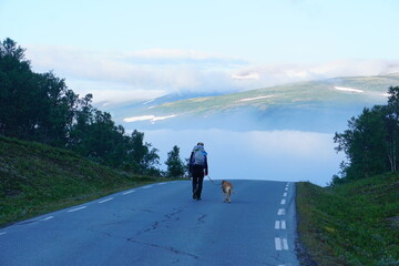 Morning walk in the land of mystery.