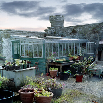 Plant nursery.