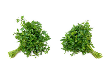 Top view parsley. Two bunches of fresh green parsley leaves on a white background. Place for your text. Aromatic herb.