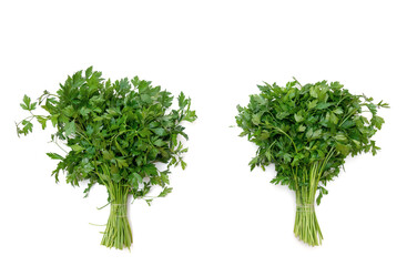 Two bunches of fresh green parsley leaves on a white background. Aroma herb. Top view parsley. Place for your text.