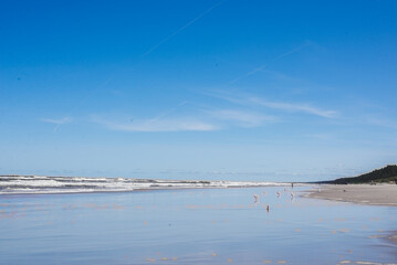 Baltic sea beach on a sunny day 