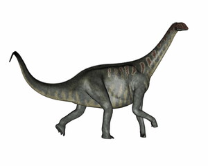 Jobaria dinosaur walking isolated in white background - 3D render