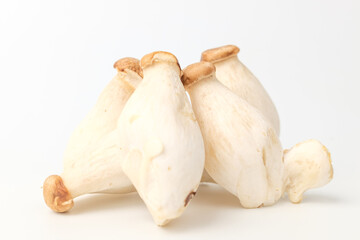 Chibi mushrooms on a white background