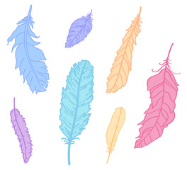 Feather. Hand drawn feathers on isolated white background