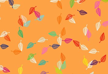 Light Multicolor, Rainbow vector doodle backdrop.