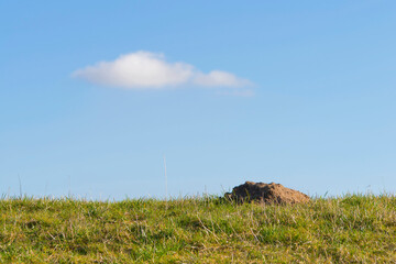 A molehill on a sea wall with blue sky and cloud in the background.