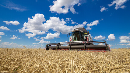 Combine harvester working on a wheat field. Seasonal harvesting the wheat. Agriculture.