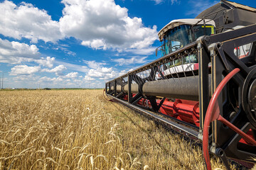 Combine harvester working on a wheat field. Seasonal harvesting the wheat. Agriculture.