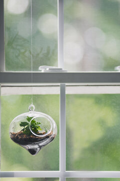 Terrarium