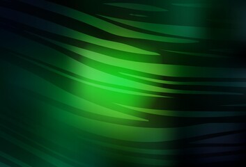 Dark Green vector blurred bright texture.