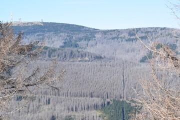 Braunlage -Harz, Bikepark