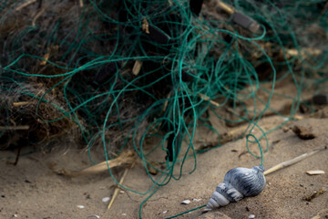 fishing nets on the beach with a small blue shell