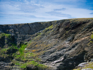 Steeply inclined eroded rock strata on Funzie Ness on the island of Fetlar in Shetland, Scotland, UK - Rocks in this area are of the Muness Phyllites Formation - Metaconglomerate - metamorphic bedrock