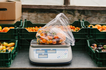 weighing fresh heirloom tomatoes on a scale