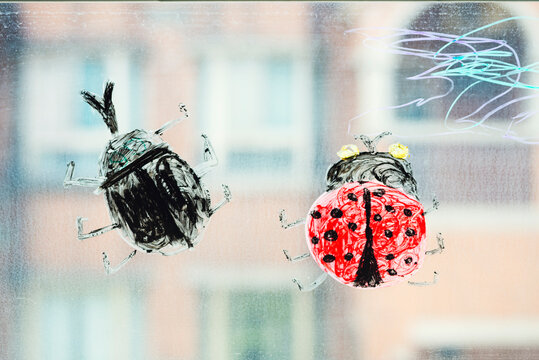Colorful ladybug and beetle drawing on glass of window