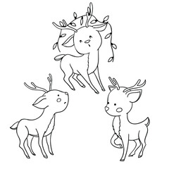 fawn set on the white background