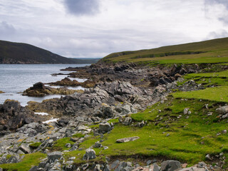 Inclined strata of fractured rock on Whale Voe at the Stuis of Graveland on the island of Yell in Shetland, UK. The bedrock is of the Yell Sound division - psammite, gneissose.