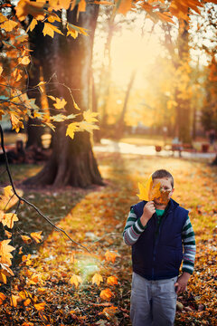 Young boy in park at sunset