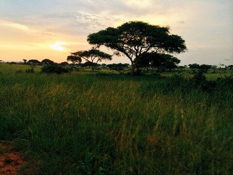 A calm African sunset