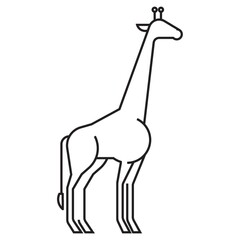 giraffe