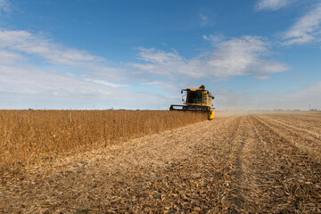 Obraz premium Harvesting combine in the wheat.