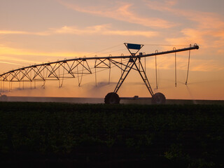 Center pivot irrigation system in the farm field at sunset