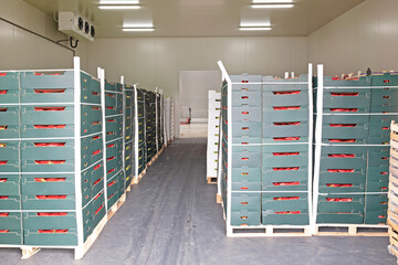Pallets Crates Produce Storage Room