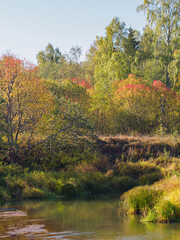 Obraz premium Small river bend at autumn forest