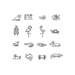 Aquatic animal icons collection
