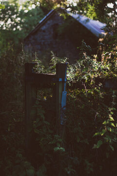 A country gate leading to a stone barn at dusk.