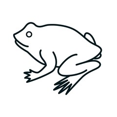 Frog icon