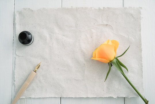 Writing a love letter showing a rose and quill on a sheet of handmade paper