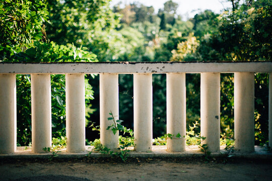 Ballustrade in green leafs background